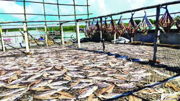 শুঁটকি রফতানিতে ৪শ’ কোটি টাকা ছাড়িয়ে যাওয়ার সম্ভাবনা