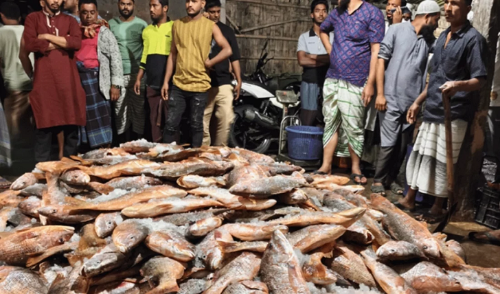 টেকনাফে এক জালে ধরা পড়লো ৩১ লাখ টাকার লাল কোরাল
