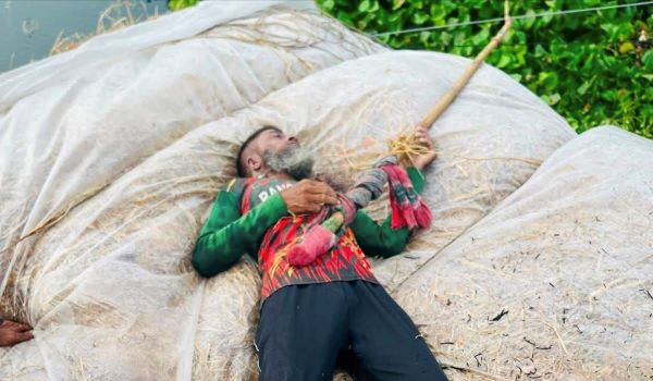সিংড়ায় বিদ্যুতের ঝুলন্ত তার কেড়ে নিল খড় ব্যবসায়ীর প্রাণ